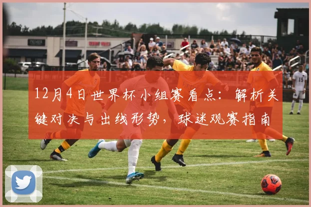 12月4日世界杯小组赛看点：解析关键对决与出线形势，球迷观赛指南