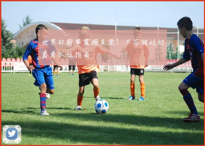 世界杯新军震撼来袭！不容错过的首秀队伍指南